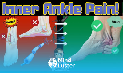 Inside of the Ankle Pain Tarsal Tunnel Syndrome Treatment Symptoms