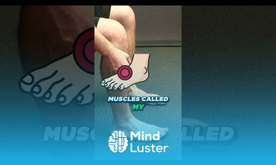 Peroneal Tendonitis Exercises Posterior Tibial Tendonitis Exercises