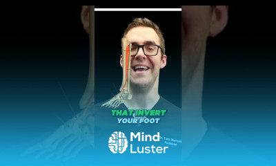 Foot Ankle Strengthening Exercises GET STRONG ANKLES