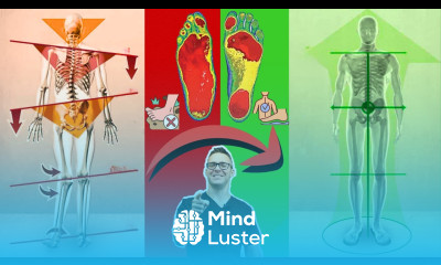 The Best Insoles Orthotics Superfeet Dr Scholls Powerstep