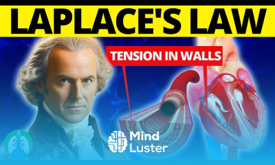 Laplace s Law Quick Explainer Video