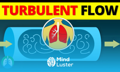 Turbulent Flow in the Lungs EXPLAINED