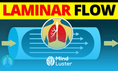 Laminar Flow in the Lungs EXPLAINED