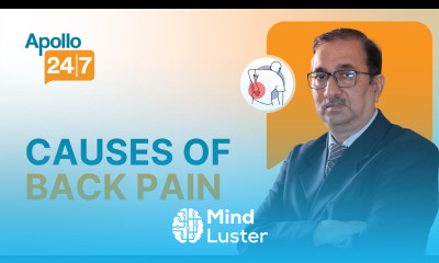 Top 10 Causes of Back Pain Dr Rajeev Harshe Apollo 24 7