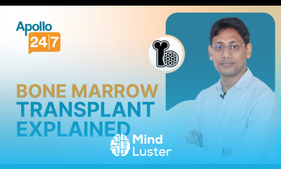 What is a Bone Marrow Transplant Dr Ankit Kumar Jitani
