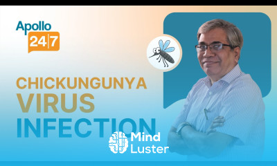 Should You Be Worried About Chikungunya Fever Dr Shashikant Nigam