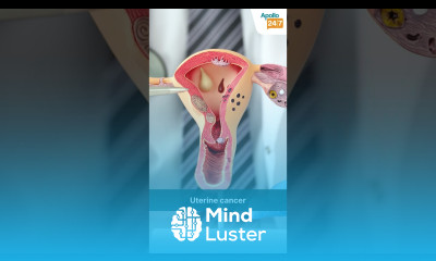 Myth Busters I Don t Need to See A Gynae Doctor Every Year Dr Kirty Nahar