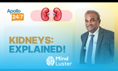 What Does a Kidney Do Dr Soundararajan Periyasamy Apollo 24 7