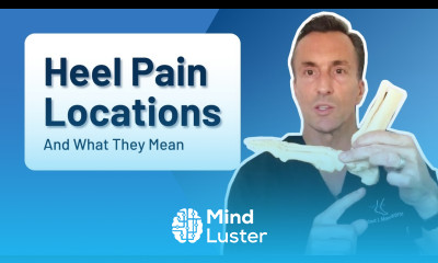 Heel Pain Locations What They Mean