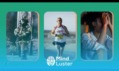 Best Food to Counter Stress Induced Immune Suppression