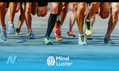 Preserving Immune Function in Athletes With Nutritional Yeast