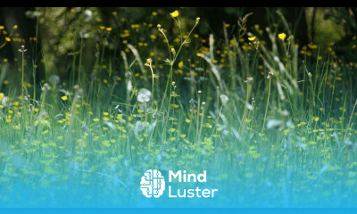 Best Food for Hay Fever Seasonal Allergies