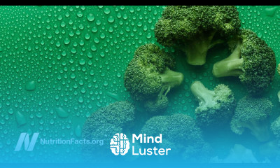 Fighting Autism Brain Inflammation with Food