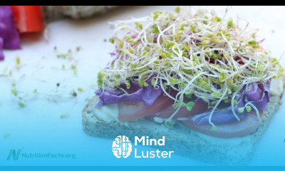 Best Foods for Autism