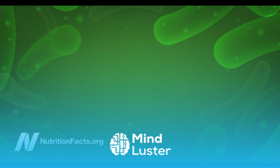 The Role of the Gut Microbiome in Autism