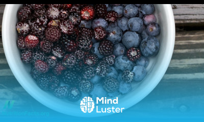 How to Slow Brain Aging by Two Years