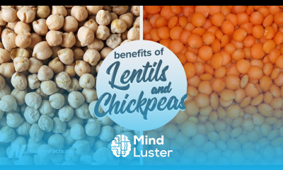 Benefits of Lentils and Chickpeas