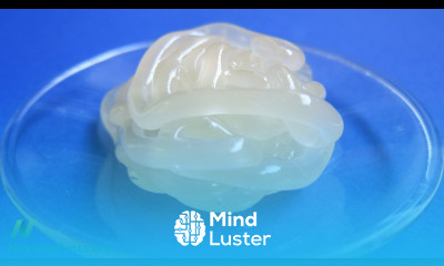 Eczema Treatment with Coconut Oil Mineral Oil vs Vaseline