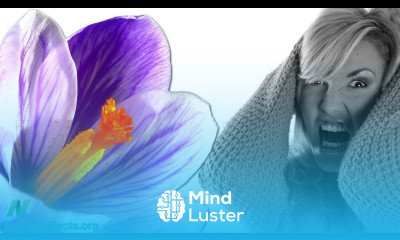 Saffron for the Treatment of PMS