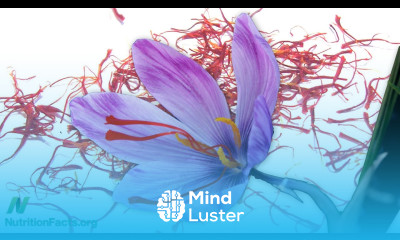 Saffron for the treatment of Alzheimer s
