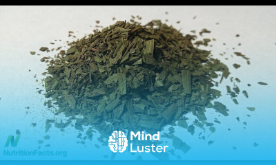 The Safety of Tarragon