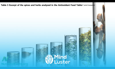 Reducing Radiation Damage With Ginger And Lemon Balm