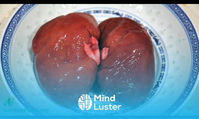 Preventing Kidney Failure Through Diet