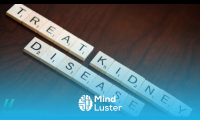 Treating Chronic Kidney Disease with Food