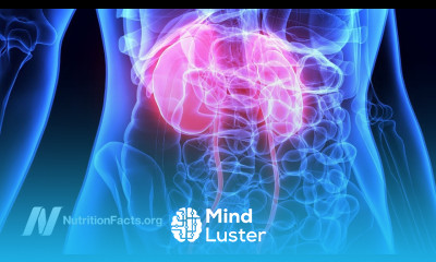 Lower Protein Diet Proven to Help Kidney Disease