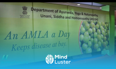 Amla vs Cancer Cell Invasion