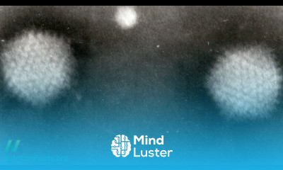 Infectobesity Adenovirus 36 and Childhood Obesity