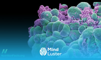 Cancer Interrupted Green Tea