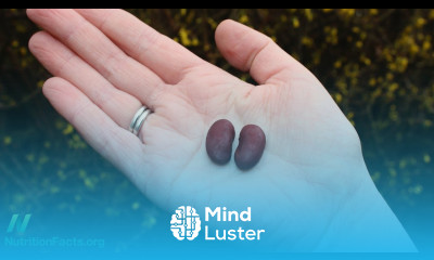 Phytates for the Treatment of Cancer