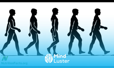 Longer Life Within Walking Distance