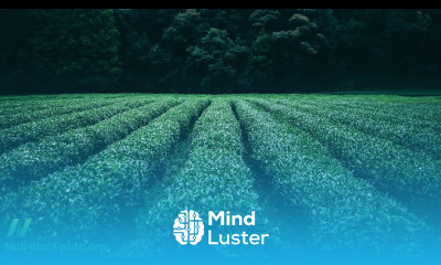 Treating Prostate Cancer with Green Tea