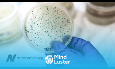 Antibiotic Resistance Genes in the Guts of Vegetarians vs Meat Eaters