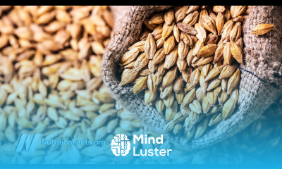 How to Cultivate a Healthy Gut Microbiome with Food