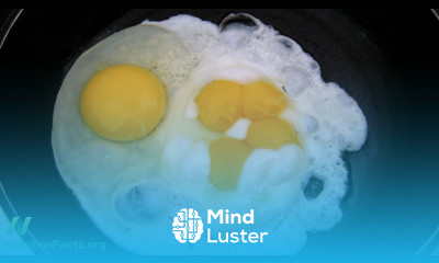 How Our Gut Bacteria Can Use Eggs to Accelerate Cancer