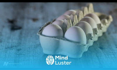 Egg Industry Response to Choline and TMAO