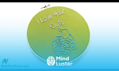 Gut Dysbiosis Starving Our Microbial Self