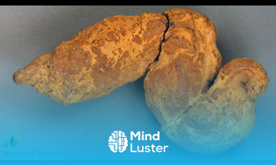 Paleopoo What We Can Learn from Fossilized Feces