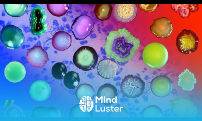 How to Change Your Enterotype