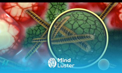 What s Your Gut Microbiome Enterotype