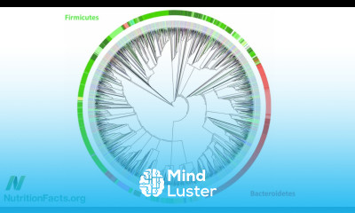 Microbiome The Inside Story