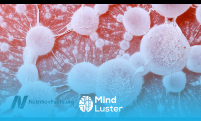 Putrefying Protein and “Toxifying” Enzymes