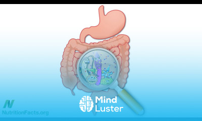 Bowel Wars Hydrogen Sulfide vs Butyrate