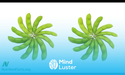 BRCA Breast Cancer Genes and Soy