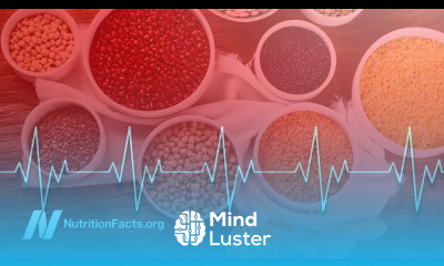 Slow Your Beating Heart Beans vs Exercise