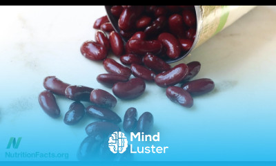 How to Avoid Lectin Poisoning