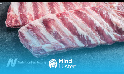 The Effect of Animal Protein on Stress Hormones Testosterone and Pregnancy